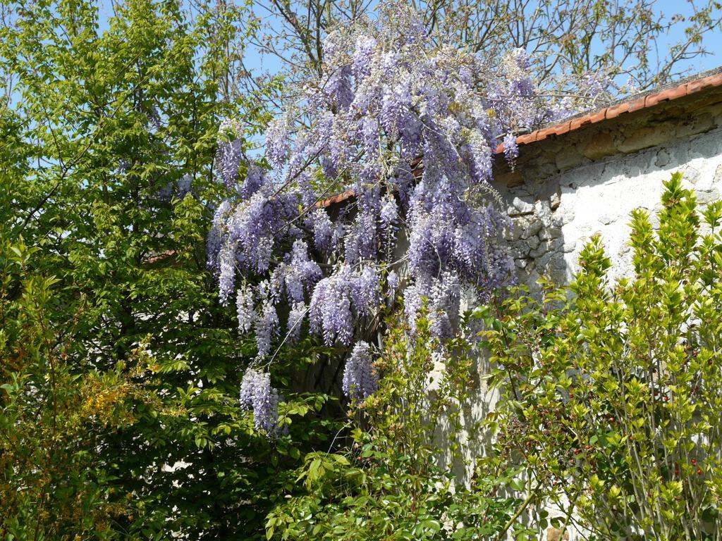 Gites De La Grande Ferme Avernes 객실 사진